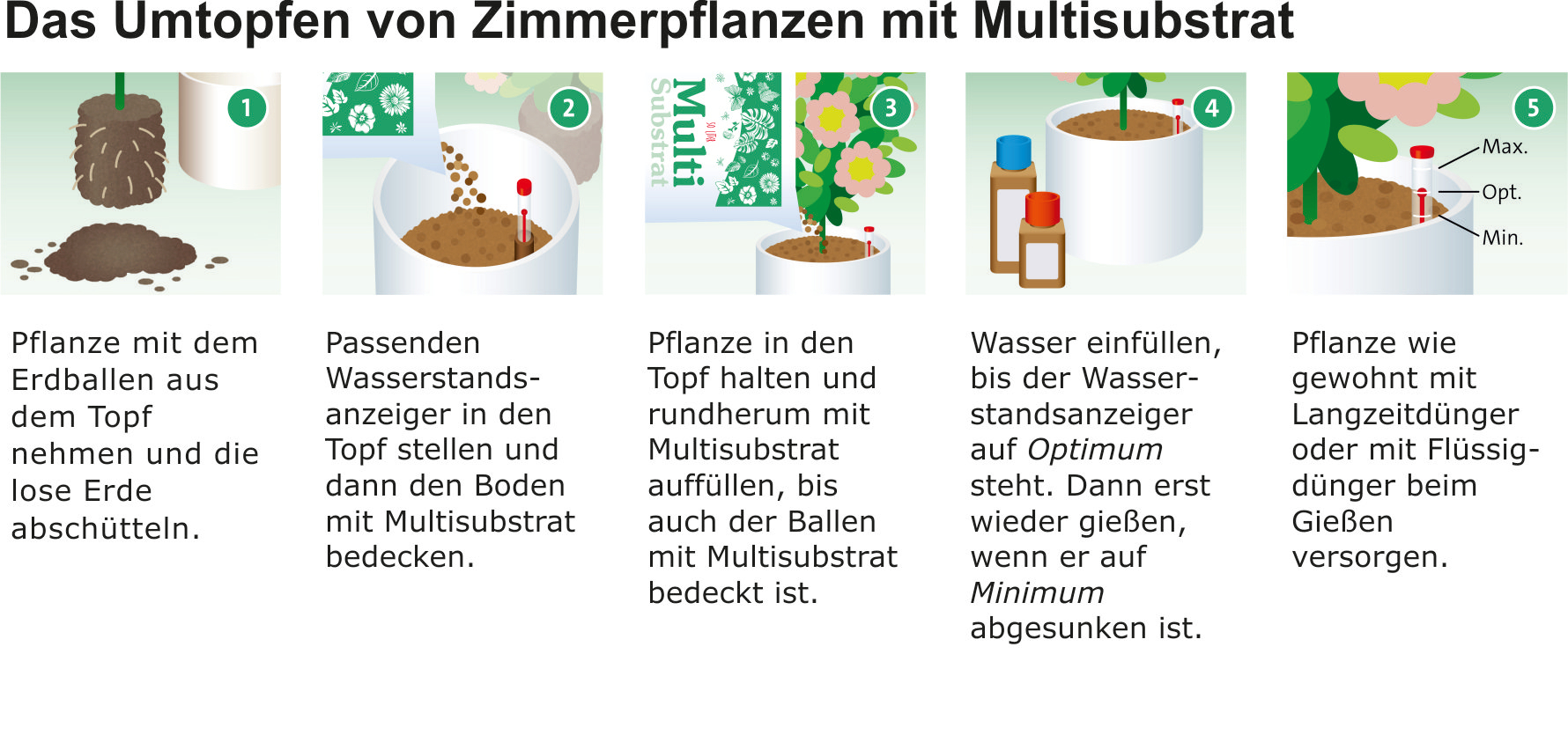 Multisubstrat Umtopfen 2025